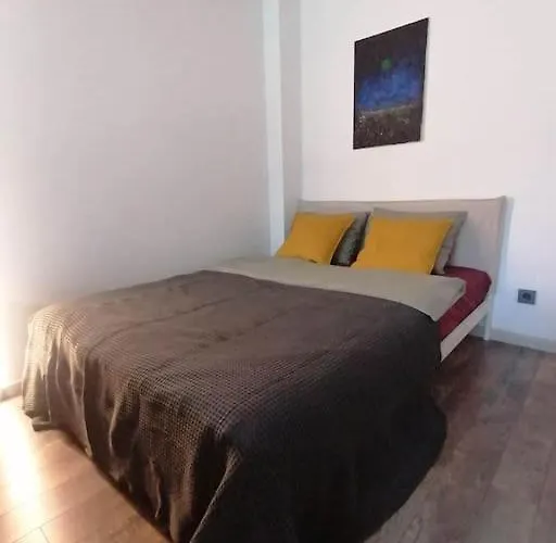 Erdvi Studija Spacious Self Check In فيلنيوس